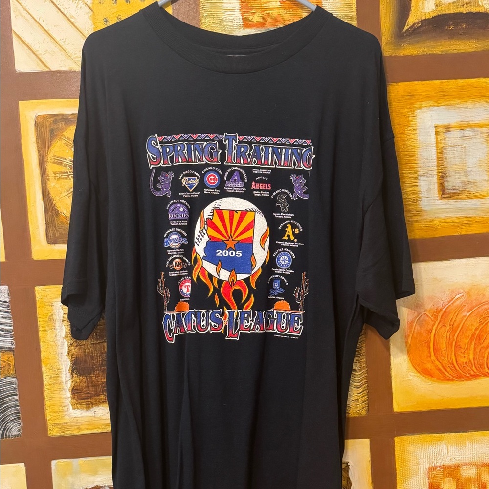 Vintage 2005 2X MLB Baseball Spring Training 2000’s NWT new fruit loom 2XL shirt